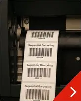 Thermal Transfer Paper Labels